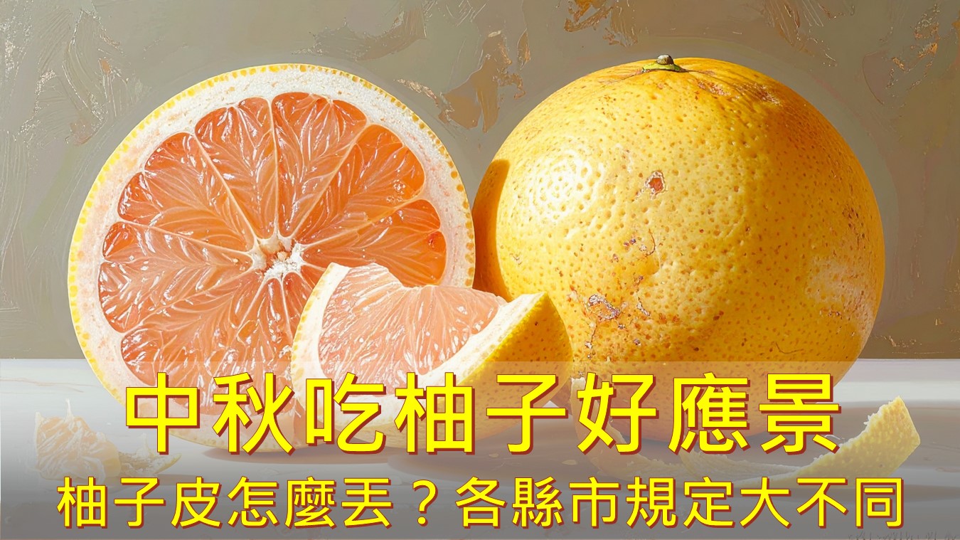 中秋吃柚子好應景，柚子皮怎麼丟？各縣市規定大不同